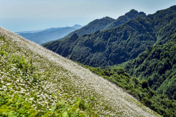 Excursión en Ardebil y Guilán