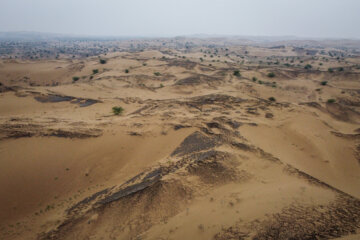 مالچ پاشی در خوزستان