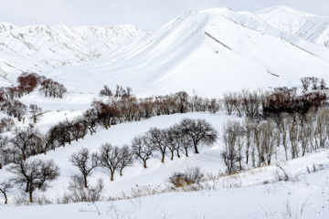 La beauté de la nature hivernale dans le village de Chibli, au nord-ouest du pays