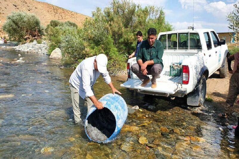 اخبار کوتاه زیست محیطی از اشنویه