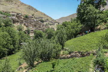 روستای هدف گردشگری شیان