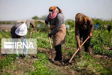 ۱۰۰روستای خراسان شمالی زیر پوشش فعالیت اشتغالزایی بنیاد برکت قرار گرفت