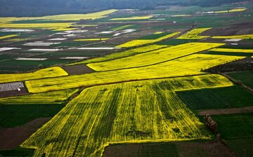 نیاز ۴۴۰ میلیارد ریالی سنددار کردن اراضی کشاورزی خراسان شمالی