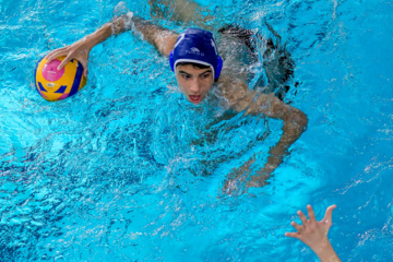 Tournoi masculin de water-polo 