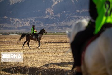 Endurance riding competition in Iran