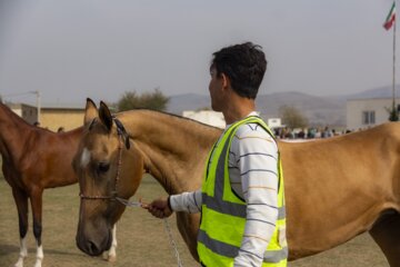 پانزدهمین جشنواره ملی زیبایی اسب ترکمن در صوفیان