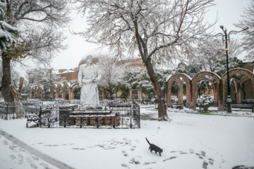 Caída de nieve otoñal en Tabriz