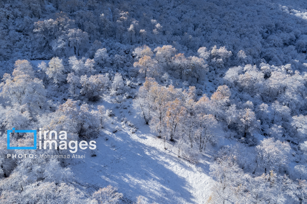 بارش برف پاییزی در گلستان