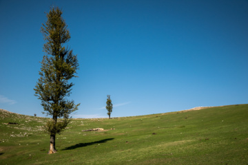 Iran: plaine de Markouh dans la province du Golestan au nord