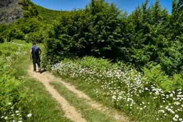 Balades et randonnées en pleine nature dans le nord de l’Iran 