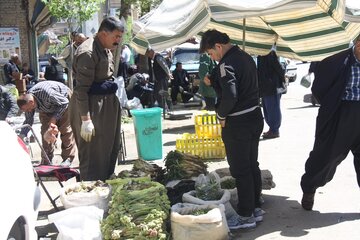 بازار گياهان خوراكي در مهاباد