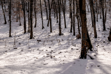 Hiver 2025: nature enneigée des hauteurs de la province de Golestan au nord de l'Iran