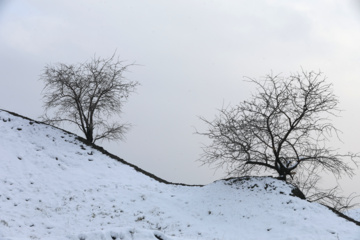 سپیدپوش شدن مناطق کوهستانی کردستان