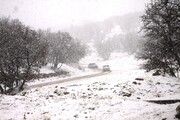 بارش برف و کولاک کردستان را فرا می‌گیرد