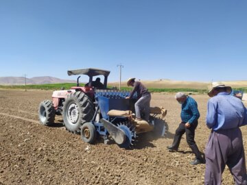 کشت مکانیزه سیر برای نخستین‌بار در بوکان