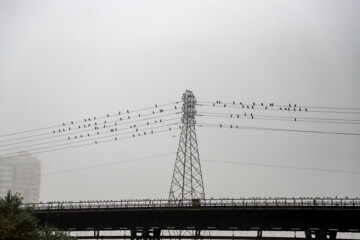 Iran’s Ahvaz in fog