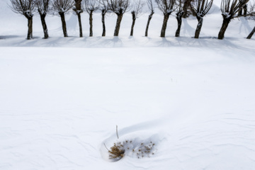 La beauté de la nature hivernale dans le village de Chibli, au nord-ouest du pays