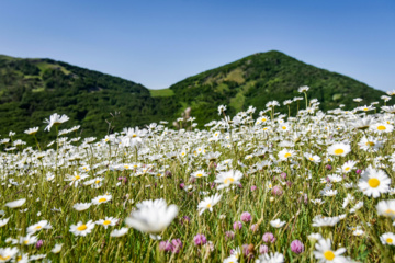 Balades et randonnées en pleine nature dans le nord de l’Iran 