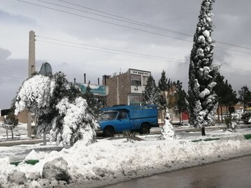 برف و بوران زمستانی و سفیدپوش شدن دامغان