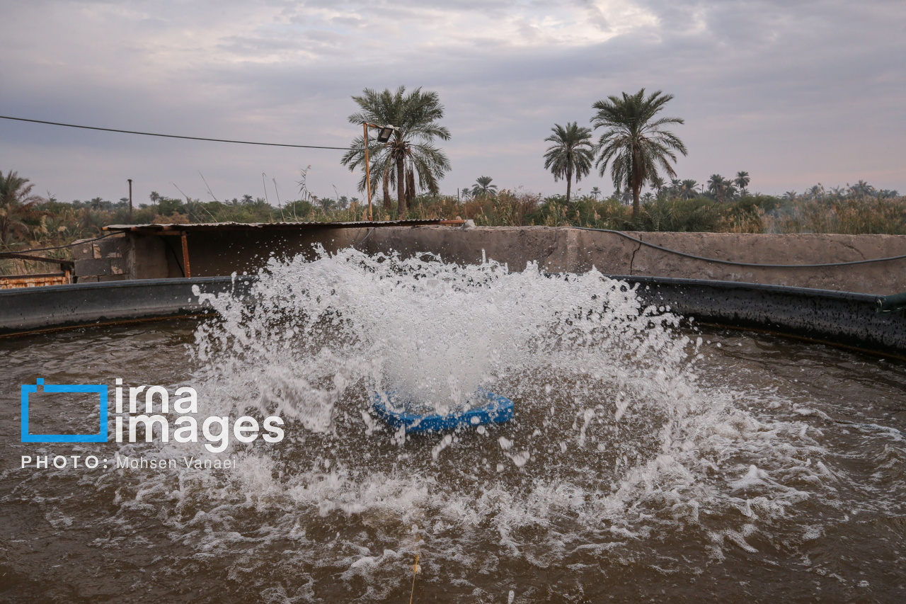 طرح‌های اشتغال‌زایی در خوزستان