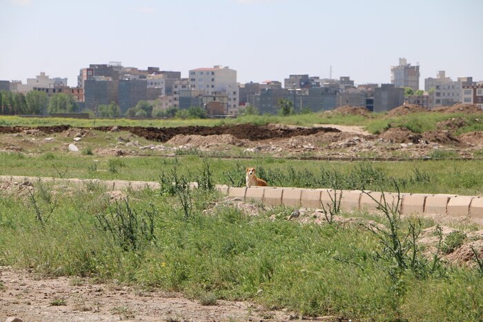 صاحب‌خانه شدن آرزویی که برای فرهنگیان ورامین محقق نشد