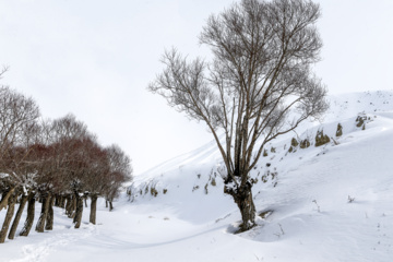 La beauté de la nature hivernale dans le village de Chibli, au nord-ouest du pays