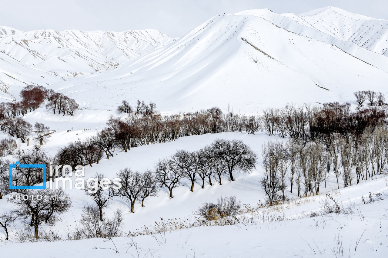 طبیعت برفی روستای شیبلی