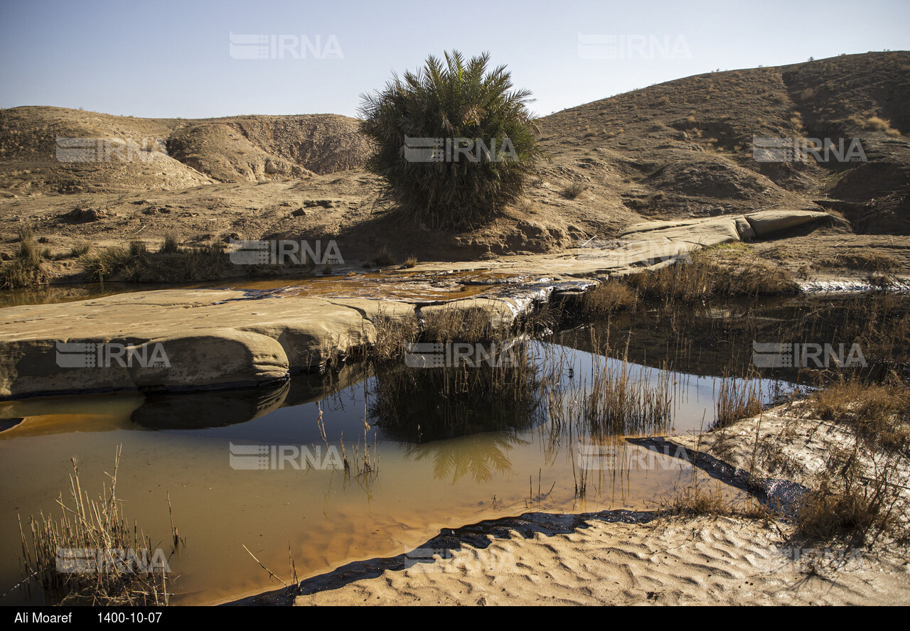 آلودگی ناشی از شکستگی در خط انتقال پساب چاه ۳۶۵ مارون در بخش غیزانیه