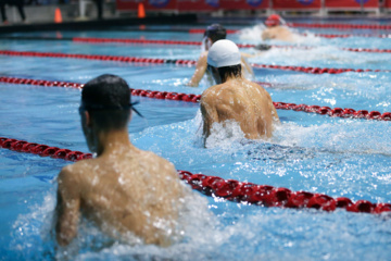 Competiciones nacionales de Natación en Piscina Corta