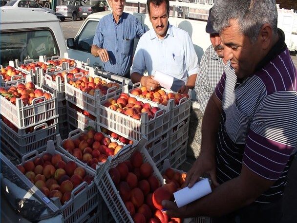 تعاون روستایی خراسان رضوی ۱۰۷ هزار تن محصول کشاورزی این استان را خرید