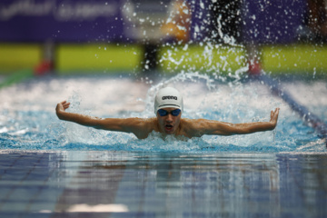 Des compétitions de natation à Téhéran 