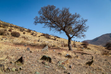 روستای شیلاندر