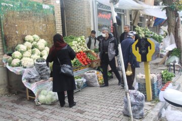 فصل سرما و تب و تاب تهیه ترشي در مهاباد