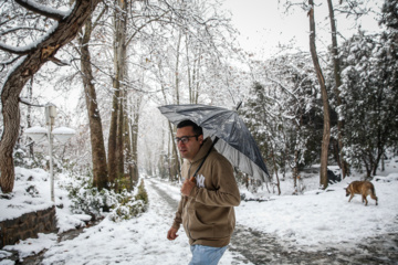 بارش برف در تهران