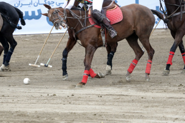 Liga Nacional de Polo en Irán