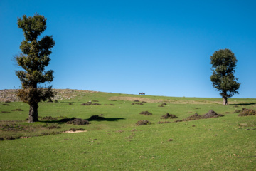 Iran: plaine de Markouh dans la province du Golestan au nord