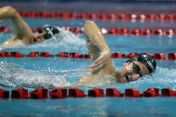 Competiciones nacionales de Natación en Piscina Corta