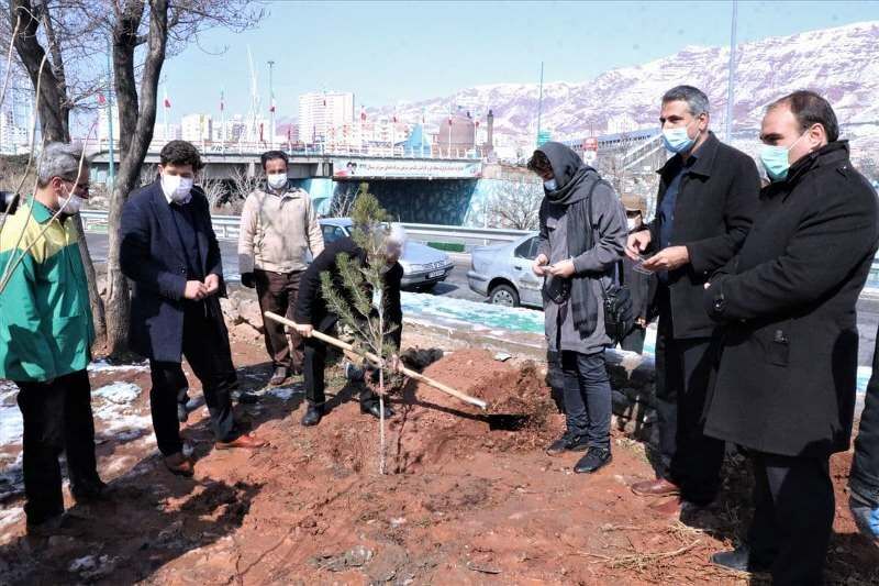 طرح درختکاری «نهالی برای فردا» گامی برای تحقق هدف تبریز سرسبز است