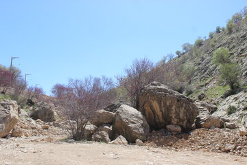 بهار زیبا در دره ارغوان