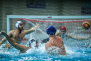 Iranian, Russian water polo teams face off