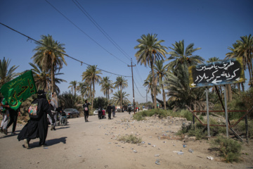 Arbaeen walk; Divaniyeh to Kufa route