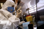 چهار هزار و ۲۴نمونه‌گیری ویروس کرونا در شهرستان بروجن انجام شد