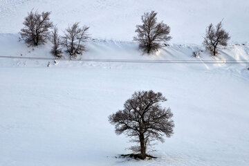 Snowy day 