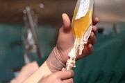 اهدای ۶ هزار واحد پلاسمای خون بیماران بهبود یافته از کووید۱۹