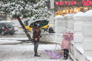 Iran-décembre 2024 : chutes de neige d’automne à Rasht au nord (Photo : Mojtaba Mohammadi)