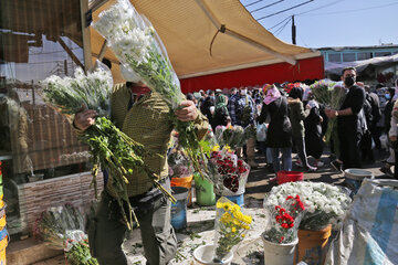 بازار گل شهید محلاتی