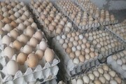 هشت واحد عمده توزیع تخم مرغ در سنندج پلمب شد