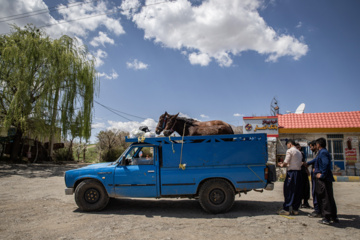 نیسان آبی