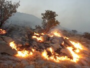 آتش سوزی کوه لار باشت همچنان ادامه دارد