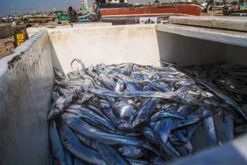 Muelle de pesca “Bandar-e Kong”